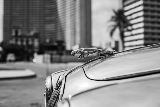 Казино Луни Бинго Android/iOS приложение